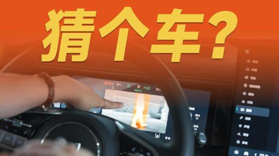 30多万给你配军用夜视仪，究竟是什么车？
