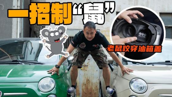 老鼠能把车咬成这样？一招教你防老鼠！