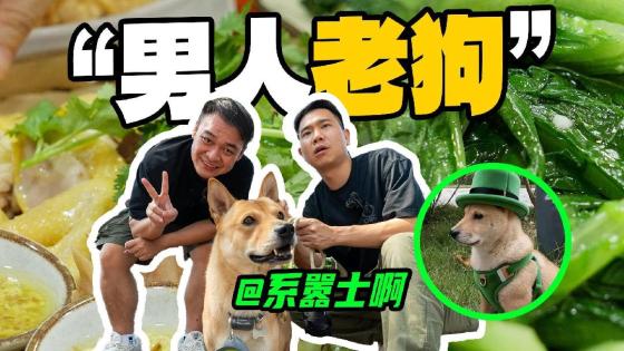 本期节目绝对绿色，大家放心观看